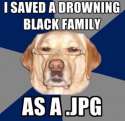 racistdog.jpg