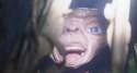 ET.gif