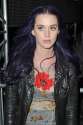 katy-perry-purple-hair_582x876.jpg