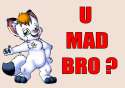 umadfurry.png