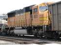 BNSF8831.jpg