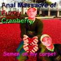 funky cranberry.jpg