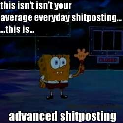 this isn't your average everyday shitposting... ...this is.... advanced shitposting.png