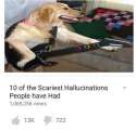 Ban me.jpg