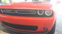 20151017_163203.jpg