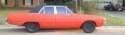 557184_444010098984505_827879587_n.jpg