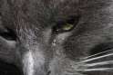 1440555544323.jpg