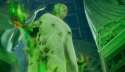 10-major-deaths-in-the-game-of-thrones-season-6-finale-1036452.jpg
