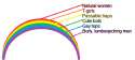 The_Gayness_Spectrum.png