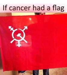 FB_IMG_1466708683321.jpg