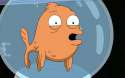 klaus-american-dad-fish-aquarium-251934.jpg