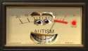 autism meter.png