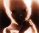 2001 space odyssey baby.jpg