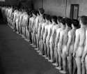 penisinspectionday_univ1939.jpg