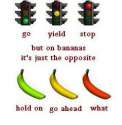 1466850817463s.jpg
