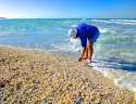 sanibel-island-shelling.jpg