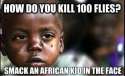 How+to+kill+100+flies_b778bf_4387299.jpg