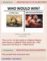tmp_4428-Who Would Win1444248370.png