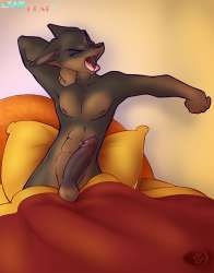 1309929234_MorningWood_0_U18chan.jpg