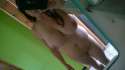 WP_20160403_025.jpg