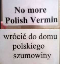 polak.jpg