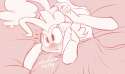 present61.png