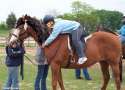 Dr-Phil-Riding-a-Horse-29015.jpg