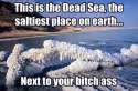 you salty.jpg
