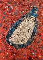 pascal-garcin-spider-eye-a.jpg