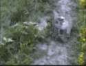 1324671304137.gif