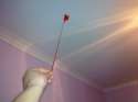 stickyspider.jpg