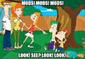 candice calls the mods.jpg