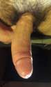 IMAG0337.jpg