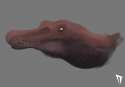 SpinosaurHeadSketch.png