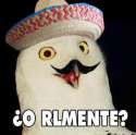 orlmente.jpg