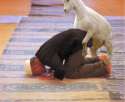 goatfucker.jpg