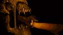 1224087 - Alien Alien_Queen Xenomorph animated source_filmmaker.gif