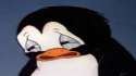 pinguino.png