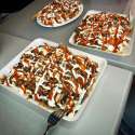 hsp.jpg