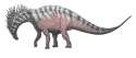 C__Data_Users_DefApps_AppData_INTERNETEXPLORER_Temp_Saved Images_Amargasaurus_PC.jpg