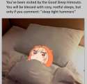 Sleep Tight Hammers.jpg