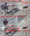 newbike.jpg