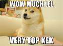 dogekek.jpg