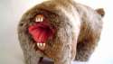 ass-mouth2.jpg