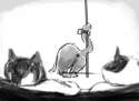 catbutt.png