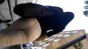 SpyVideo_20151020_153203591.mp4_snapshot_00.06_[2016.05.04_20.20.48].jpg