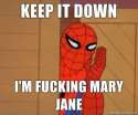 Spiderman_2c6076_5791496.jpg