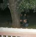 Gays caught.jpg