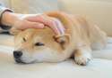 tumblr_mp22jrjbL71rkn5ozo1_1280.jpg