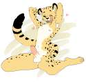 cheet.png